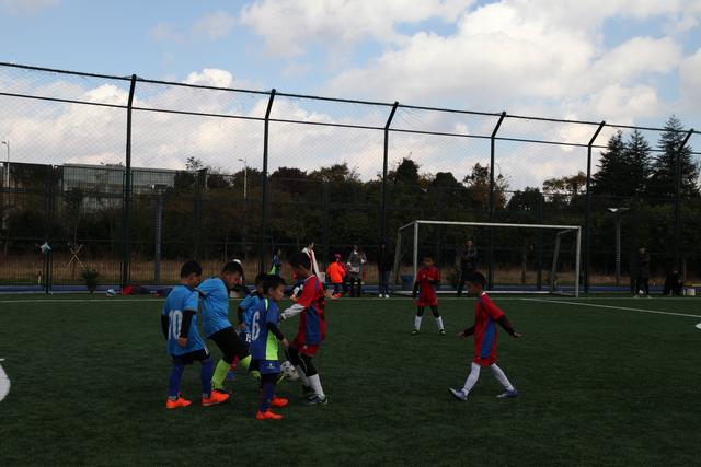 三亚亚沙会开幕式“文化之韵”：椰风传雅意 海岸聚风华